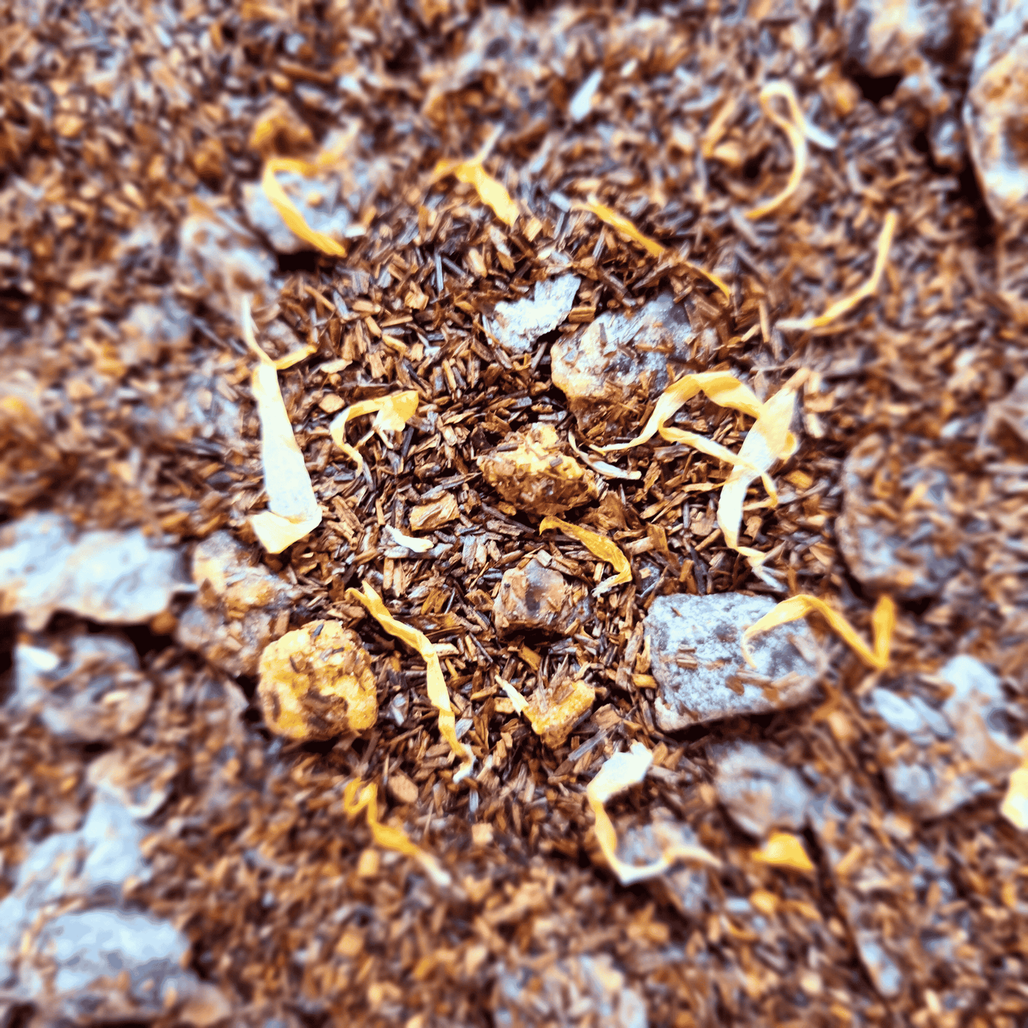 Rooibos Pêche