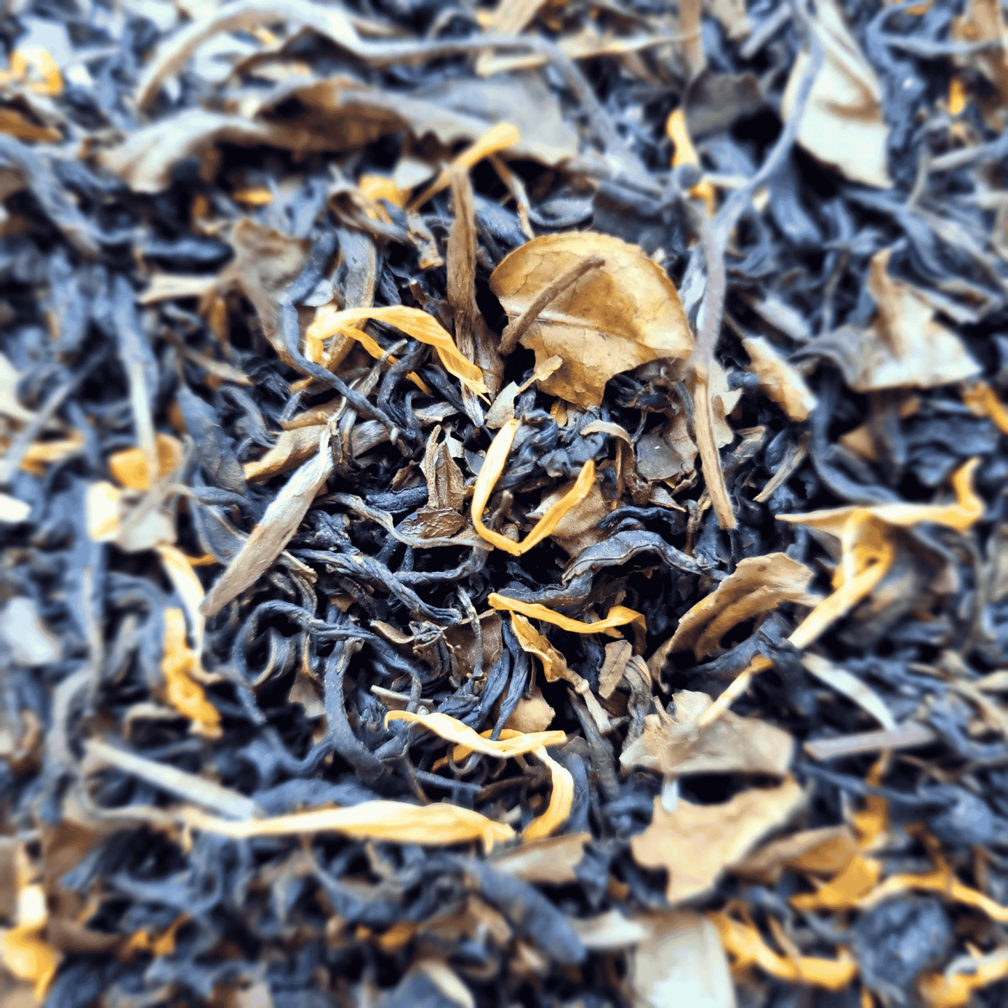 Thé Blanc Vanille Bourbon