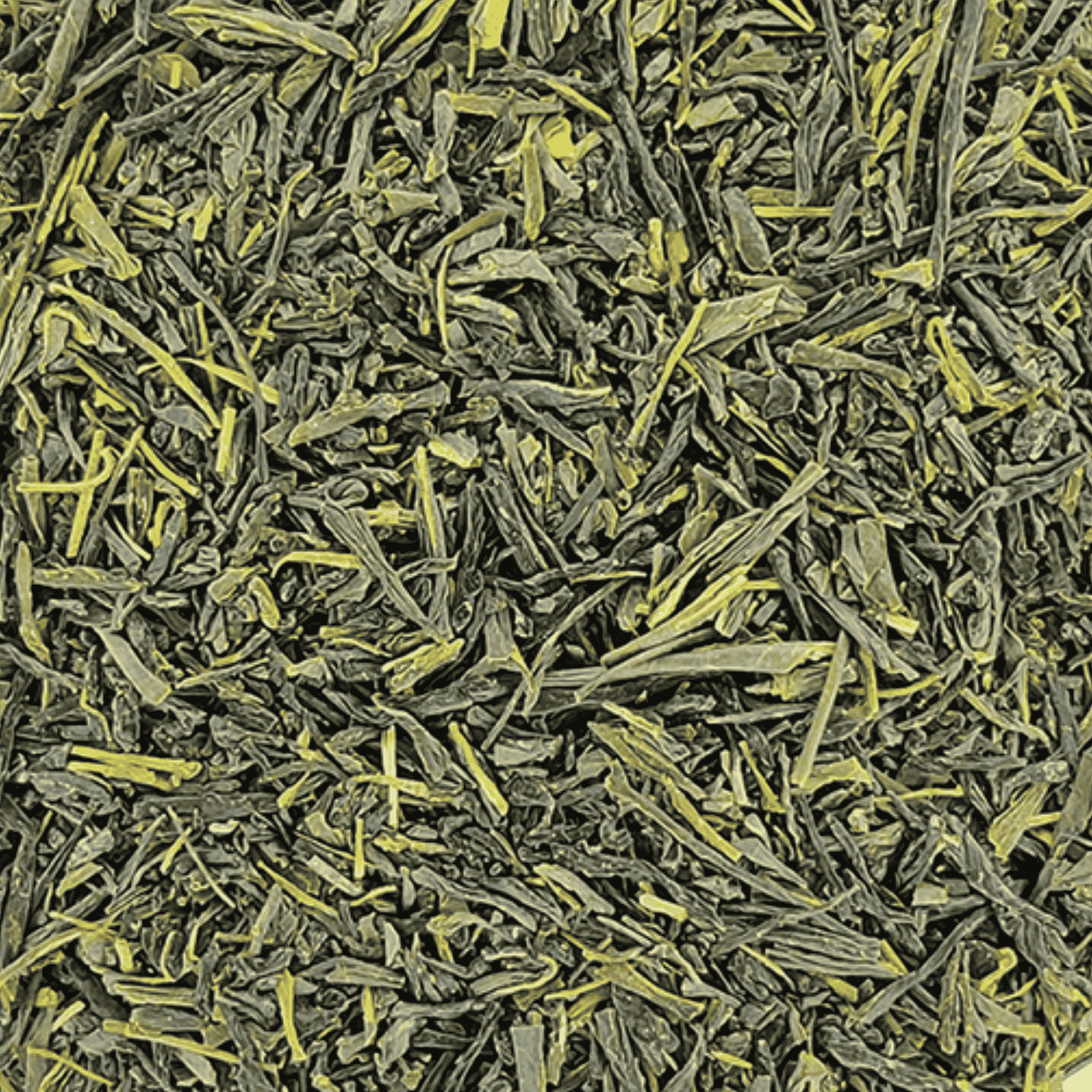 Thé Vert Japon Gyokuro Kyoto